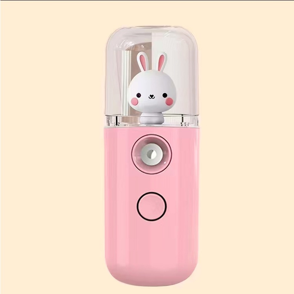 Handy Facial Mist Humidifier